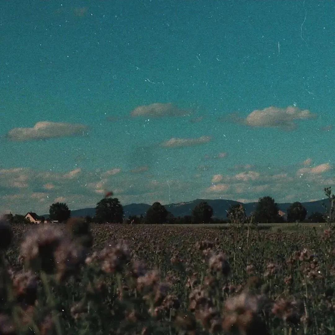 28，另一年的春天，生活就像一个梦想，多年来一直匆忙，爱情有多少爱情。多年来逐渐走得更远。总会有很多美丽或悲伤的回忆。