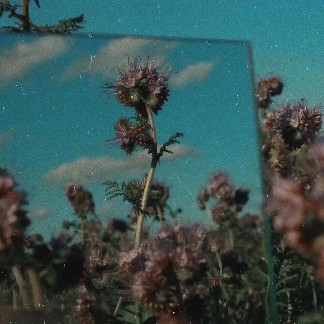 它Talk的特别伤心分手1