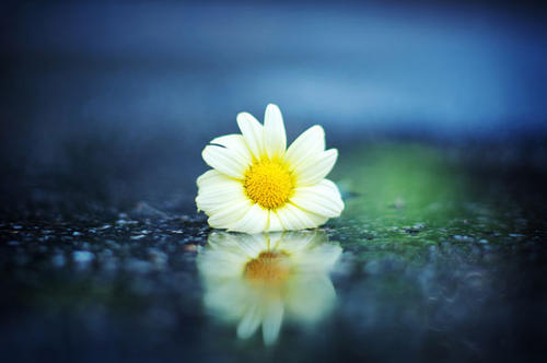 叔叔阿姨的消息消息