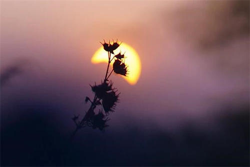 15，距离仍然很远，彼此总是为时已晚，感情不会急于，照顾好你。世界问候日，我希望你是如此忙碌，接受我的真诚问候，愿我的存在让你快乐，快乐！