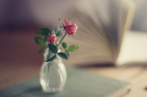 叔叔阿姨1的消息短信