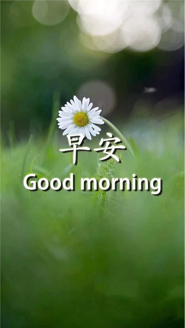 早上好2021最美丽的图片3