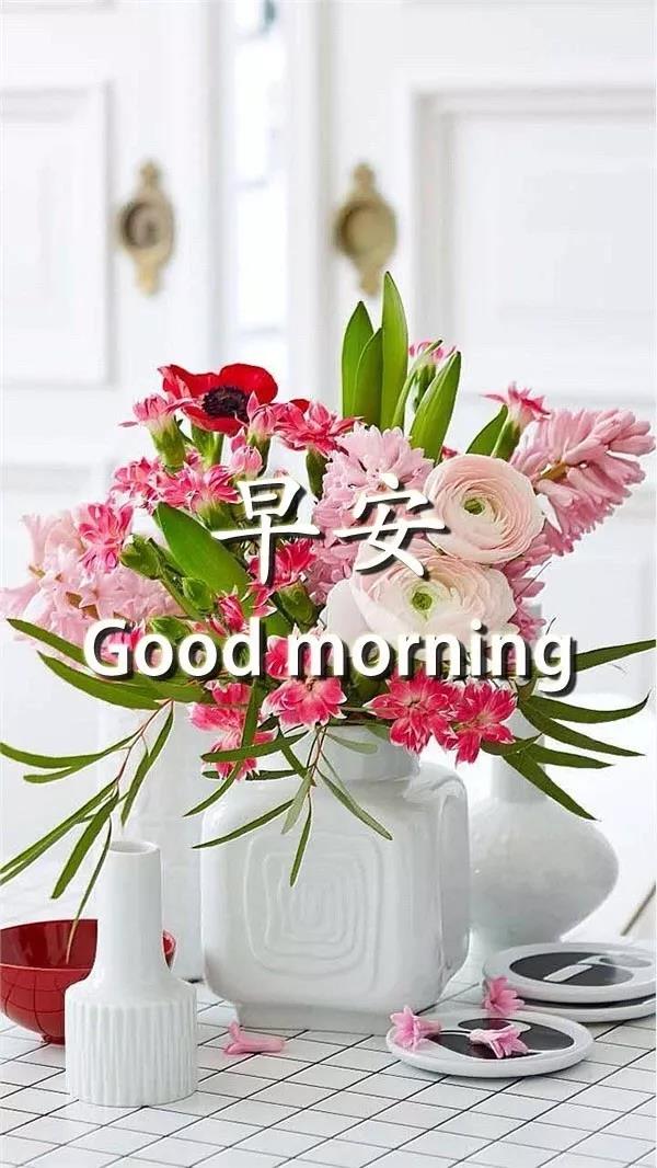 早上好2021最美丽的图片1