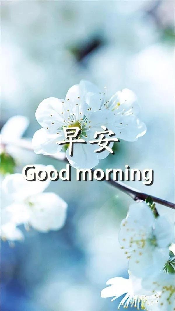 24,在最普通的生活,谦卑和努力中。有一天,你会站在最耀眼的地方,生活在你的外观。早上好!