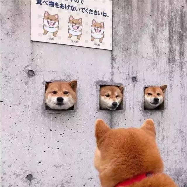 最有趣的句子可以让人微笑和喷雾1