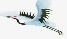 初中友情的唯美句子