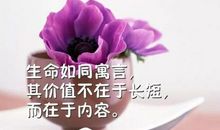 2020最火励志的微信名