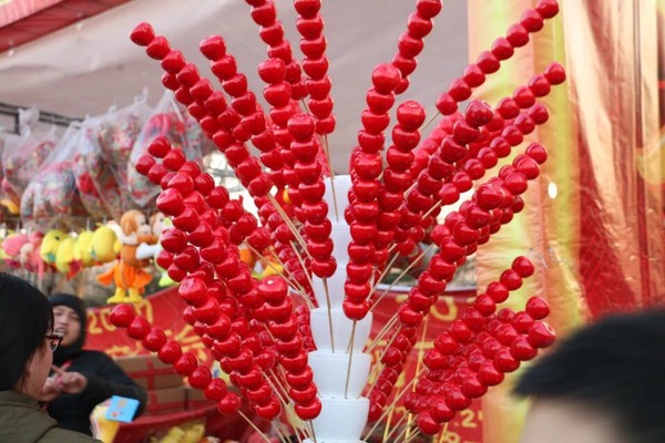 美丽的句子在新的一年