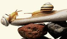 2021公司口号大全