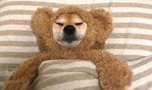 简单快乐生活的心态句子