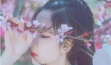 表达友情永不分歧的句子