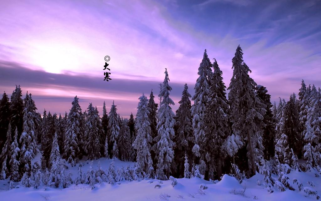 14，为了你的想法，在心灵的核心中，他们所有人都是合并的;照顾你，沉没在阳光下，不再有寒冷的天气;为了你的问候，隐藏在鲜花中，给你一个美丽的冬天。寒冷，寒冷，更冷，重量沉重！