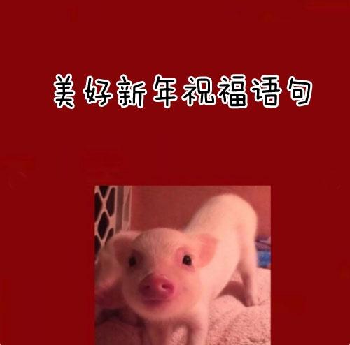 15，一片绿叶，充满了根的友谊;一条消息，专注于我的愿望。另一个美妙的开始 - 新的一年，祝你永远成功和幸福。