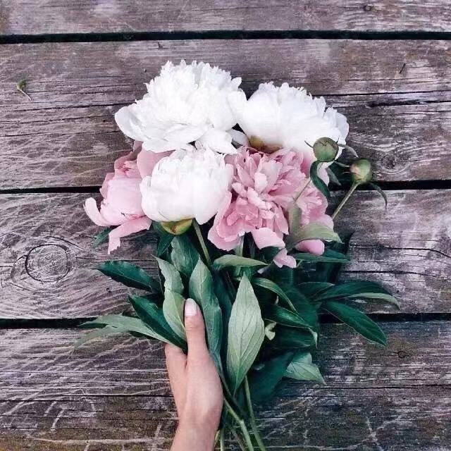 2021销售团队激励口号1