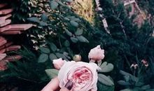 2021销售团队激励口号