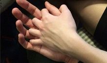 动物和人类友情句子