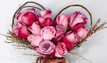 关于友情真情流露的句子