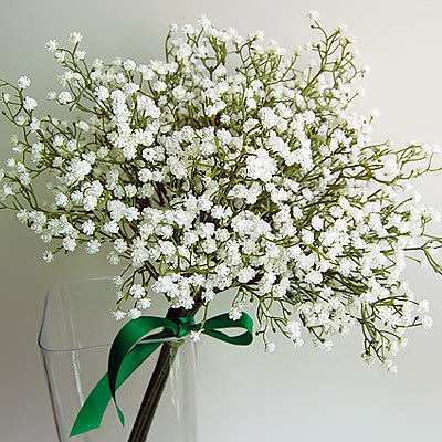 友谊文学小清新句长