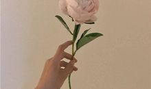 纪念友情逝去的句子