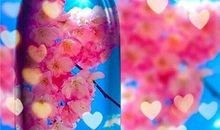 友情因真诚而永远的句子