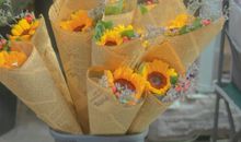 新年美好愿望的唯美句子