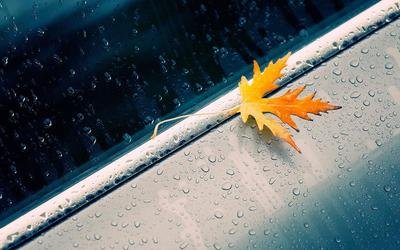 如何回家新的一年?