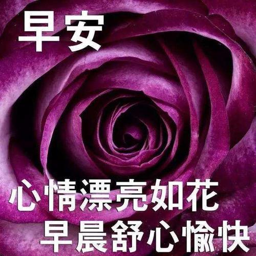 超级温暖的句子