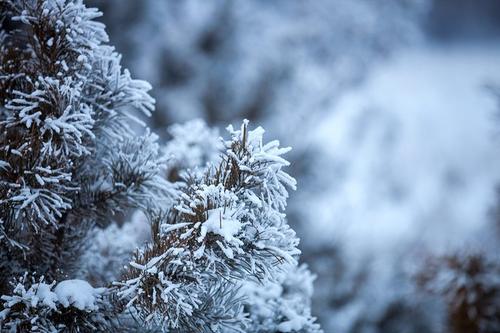 15,风在冬天应该被炸毁,雨应该漂浮,寒冷应该侵入,让我迎接短信来点燃火,温暖你,愿你的身体,健康快乐!