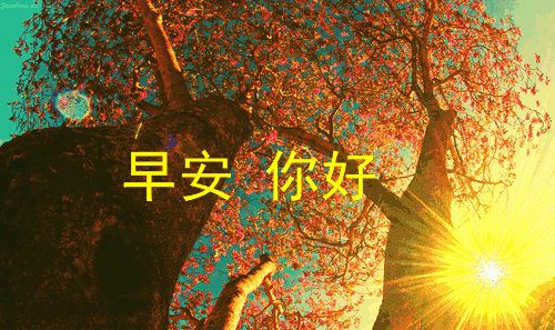 15,靠在你身上,靠在你身边,靠在你身边,靠在你思考。因为你,早上好,生活的每一个兴奋都很好!