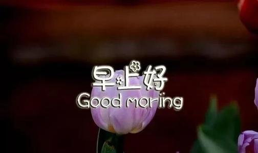 在早上问候这个女孩问候短信1