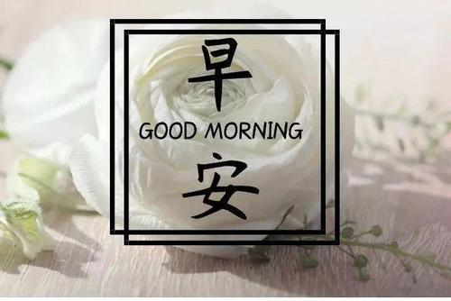 15，洛阳亲戚和朋友们提出问题，周一周一说周末。留下一个小小的旧的，它是每个星期一的折磨。红尘在笑，误解将在星期一。谁会期待周末在雪地上。