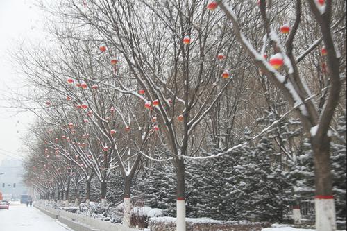 15,护理不是爆竹,它将结束;关注的是不是一天,之后,这是过去五百年的祝福,在你的思想中,没有一天,没有天,没有夜父!天空变冷,注意保持温暖!