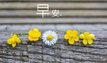 心疼老公的朋友圈说说心情