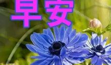 搞笑幽默简短早安语