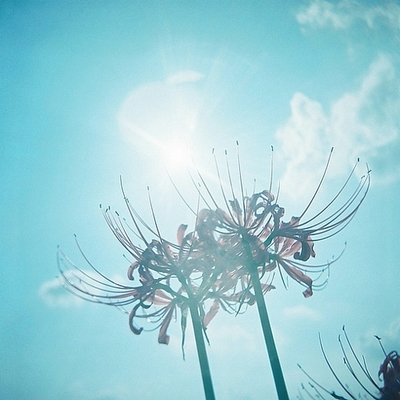 回顾友谊句古风