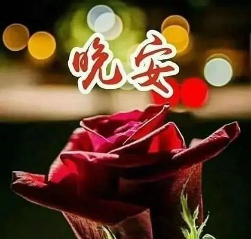 温暖的问候文本消息前睡觉前