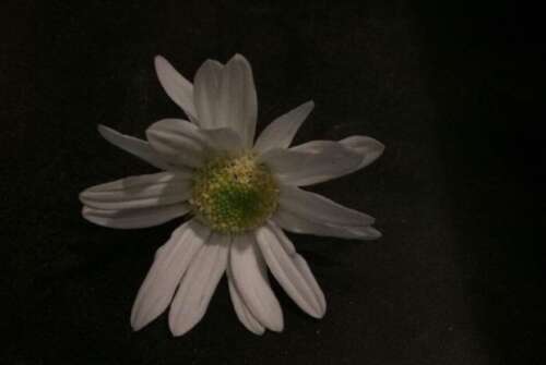 适合在半夜的一些哀悼的扫盲