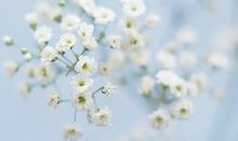 再聚发小的友情的句子