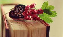 利益与友情的句子