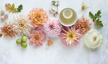 早安句子 简单温暖