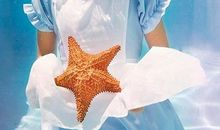 友情离别优美句子