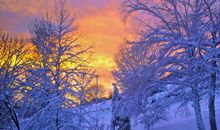 冬天关心朋友问候短信