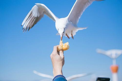 冬季周末短信问候简单