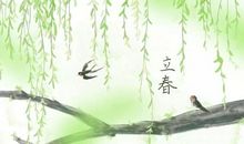 立春问候语大全