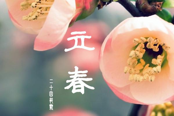 30,春天的活动真的活泼,傅子英门正在笑,四个赛季和平与春天洪水,来到今年,瑞灵象峰年,吃春卷,咀嚼萝卜,甜美,又美丽!