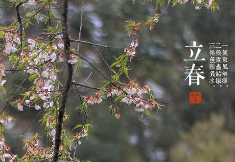 李春节触摸人们祝福言语