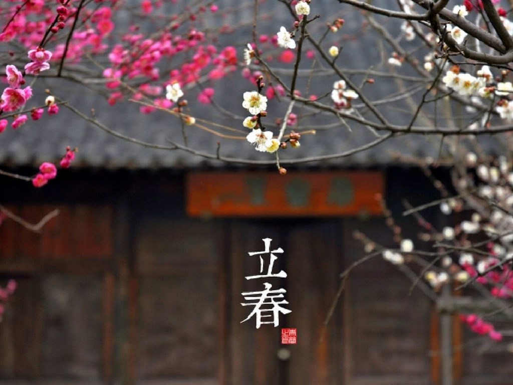 李春节触摸人们的心祝福1