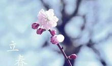 立春的诗句诗词