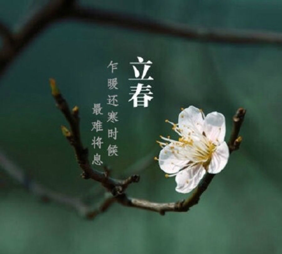 Lichye的诗歌诗歌