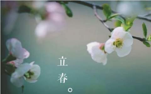 lichun问候短句子